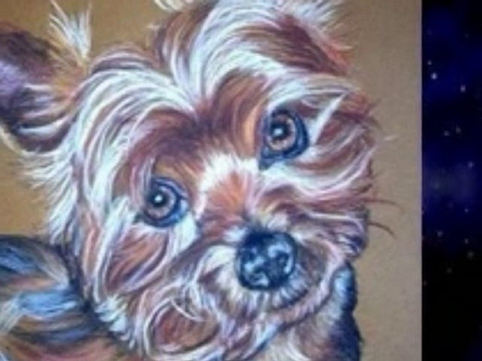 MM Saudade, portrait aux pastels pour 120 euros-01jdc lasod