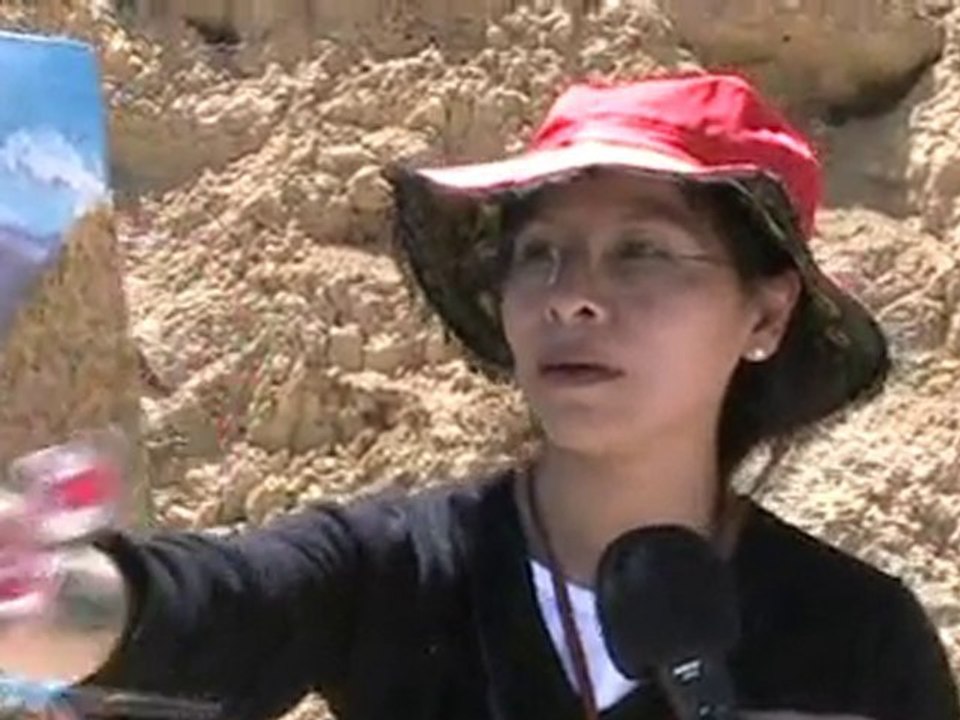 Artistas del II concurso de pintura rapida Cajabamba 2010