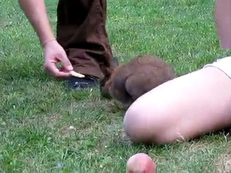 Kissa, la dévoreusse de cracotte .