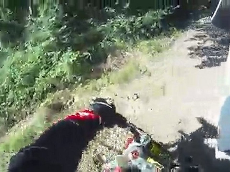 porcherie park testing new mx