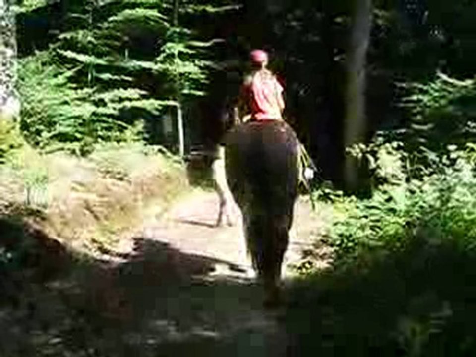 Océ et Sapri' au bois banal aout10