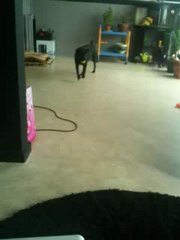 Luna Va Chercher Babal