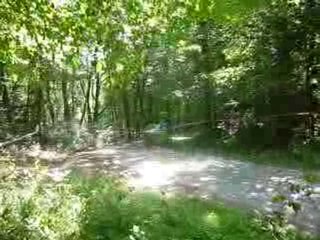 rallye de la plaine 2010