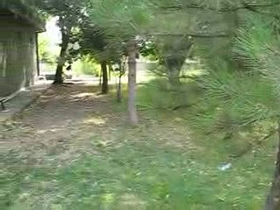 efe poyraz çakar ing.pointer aport eğitim....