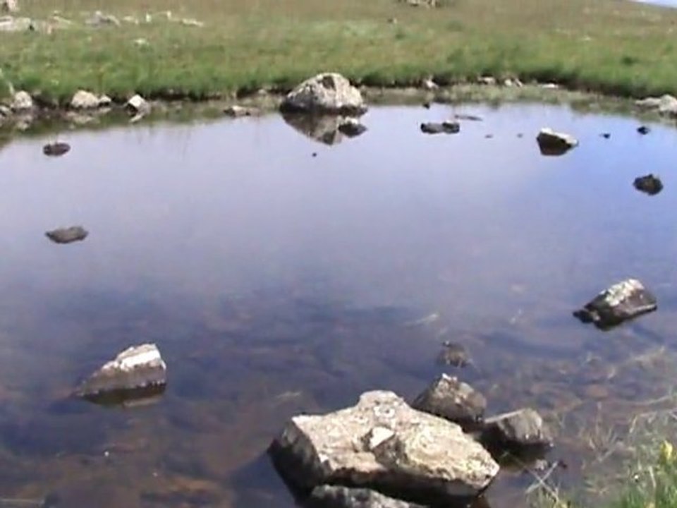 Trabzon Kaçkarlarda Balıklıgöl
