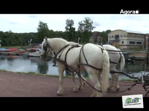 LES ESTIVALES : BALADES EN CALECHE SUR LES BORDS DE SCARPE