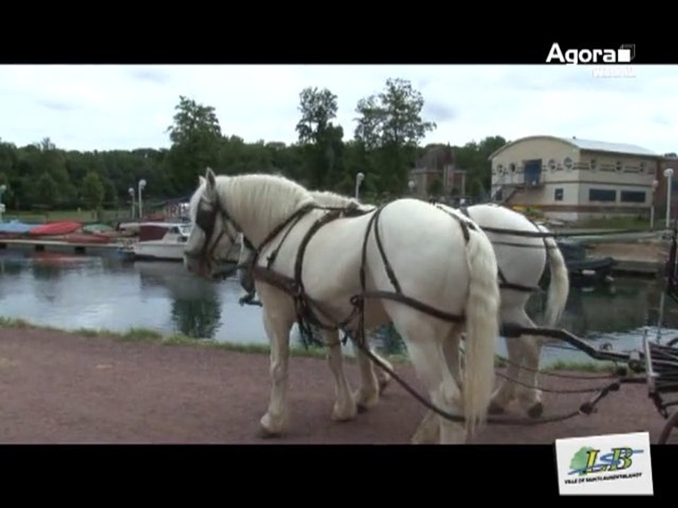 LES ESTIVALES : BALADES EN CALECHE SUR LES BORDS DE SCARPE