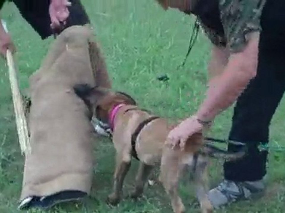VID00291