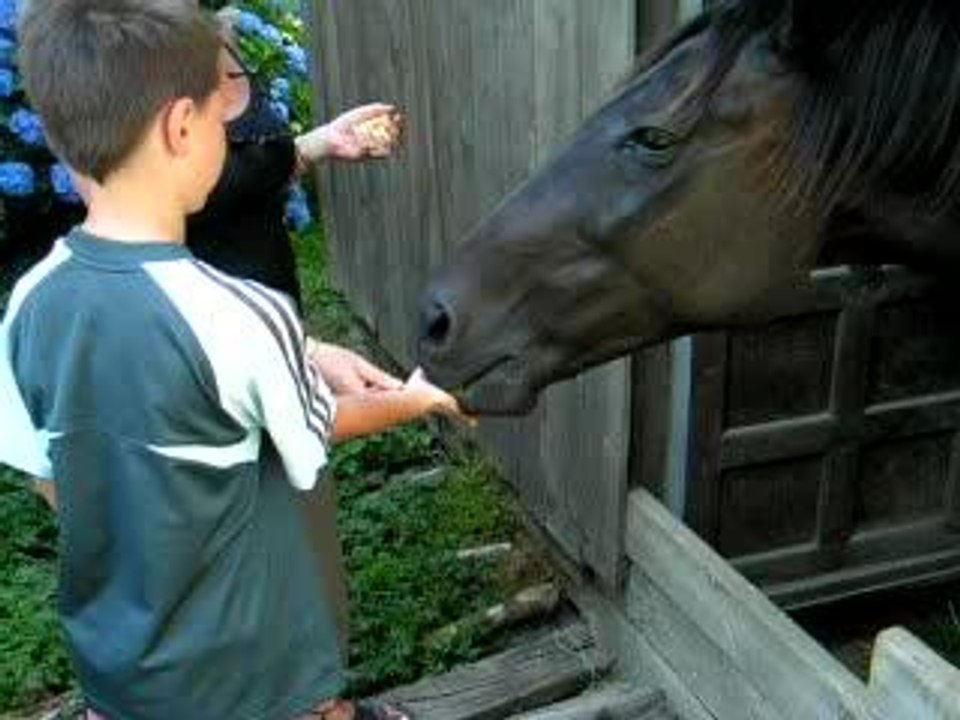 Croque la pomme