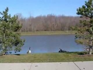 Homes for Sale - 7956 Pineview Ln - Frankfort, IL 60423 - Co