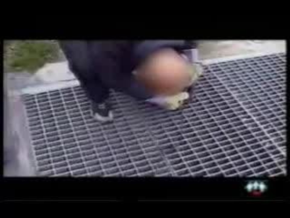 Cebo Video Intro Madrid