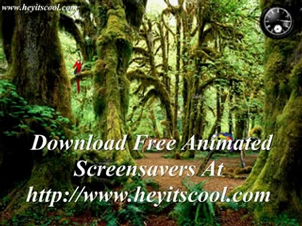 Download Free Animated Deep in the Forest Screensavers