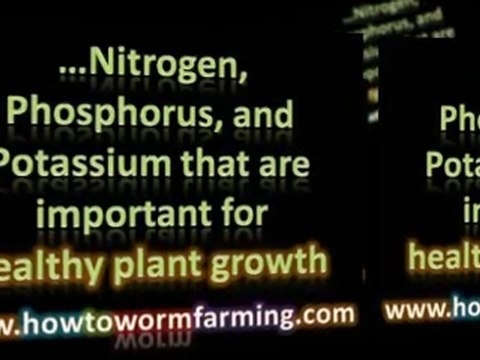 Organic Gardening Guide Worm Composting: Building Worm Bed