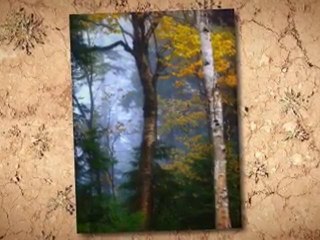 Don't Quit - Never Give Up