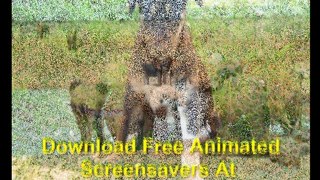 Free Animated Domestic Animals Screensavers