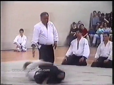 Шихан Фумио Тойода 6-ти дан (май 2000г.)