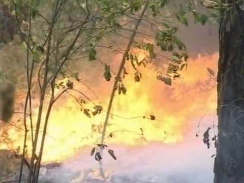 Le Journal vidéo du jeudi 5 août 2010, édition de 12H00.