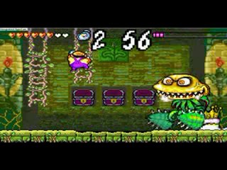Frapsoluce Wario Land 4 Pt.6 La plante méchante