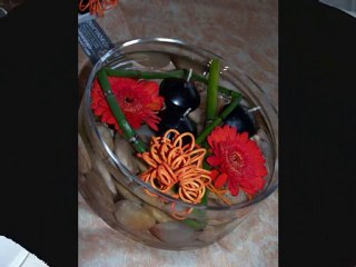 les évènements 2009