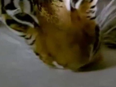 Burning Bright - Fragman - 15 Ekim 2010'da sinemalarda