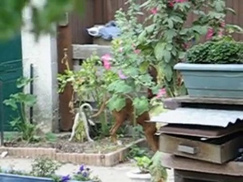 portée d'Anaïs et Valdo