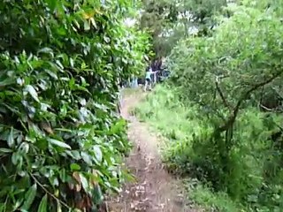 N°149 hexagonal vtt mortagne sur sevre