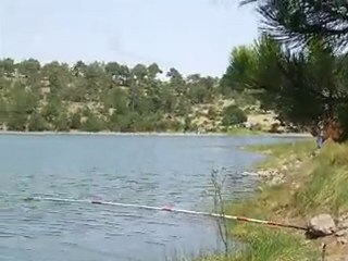 1.8.2010 Sazan avımız