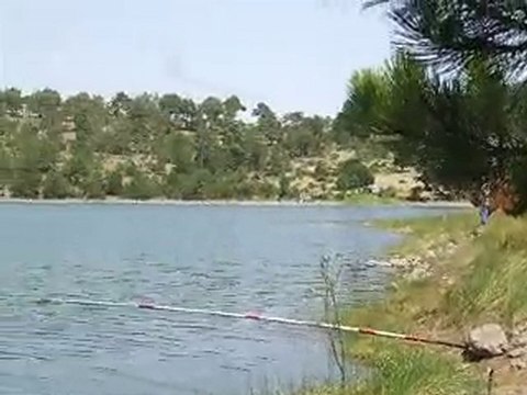 1.8.2010 Sazan avımız