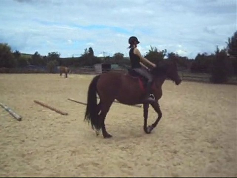 Ma Batz - trot en carrière - 5 août 2010