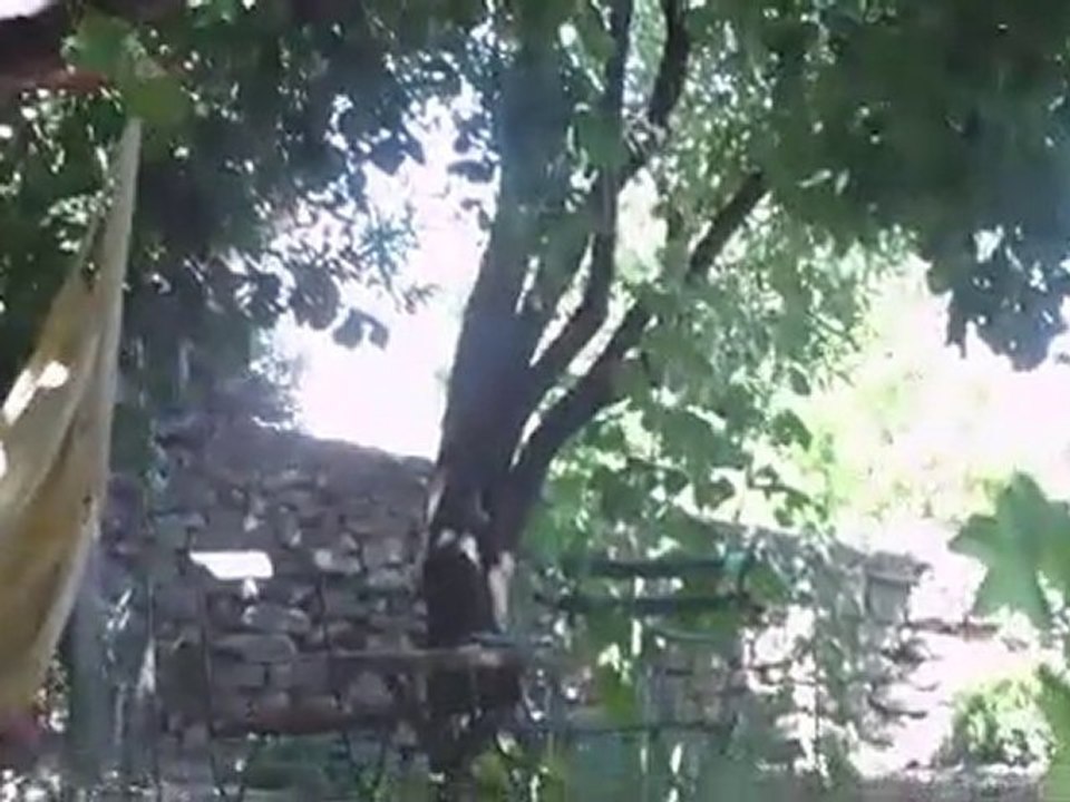 Simiane la rotonde