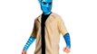 Avatar Halloween Costumes, Masks, and Accessories