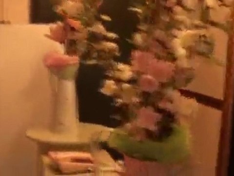 62.takaとkayoの世界旅行★テレルジ→ウランバートルinモンゴル(計24日目)世界遺産 動画