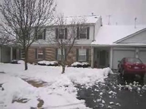 Homes for Sale - 1002 Radclyffe Ct Apt A - Elgin, IL 60120 -