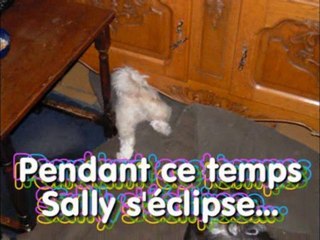 Les moments de folies