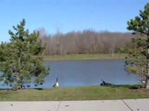 Homes for Sale - 7939 Pineview Ln - Frankfort, IL 60423 - Co
