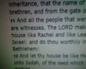 RUTH WAS A CONCUBINE IN ORDER THATS IT PT4