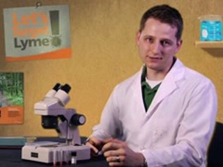 Tick Talk with the Bug Doc