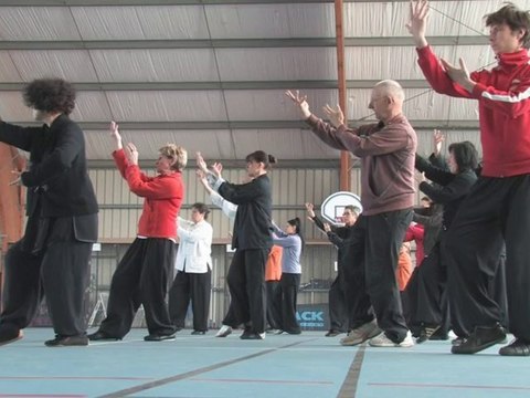 Stage de taï chi chuan forme ancienne avec Thierry Alibert