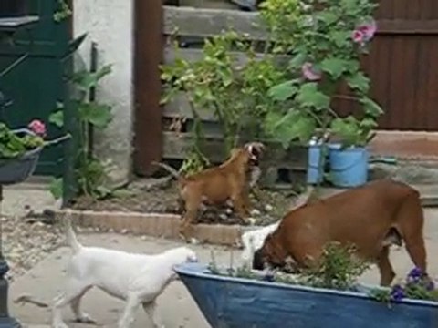 portée d'Anaïs et Valdo