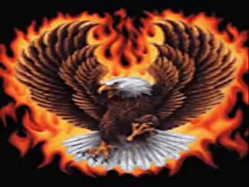 ali küpçü diyar diyar