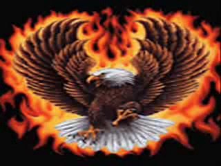 ali küpçü layık değilsin