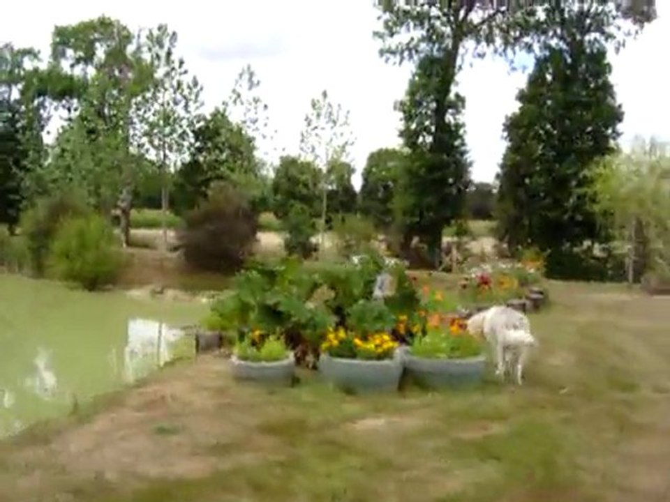 Vacance juillet 2010 (7)