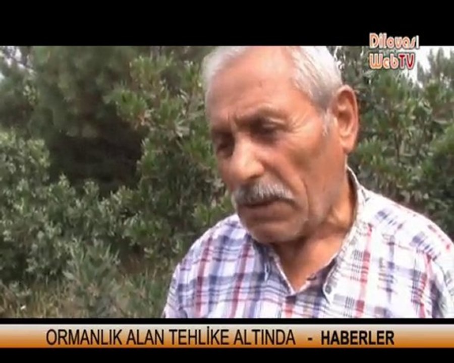 ORMAN İSYANI