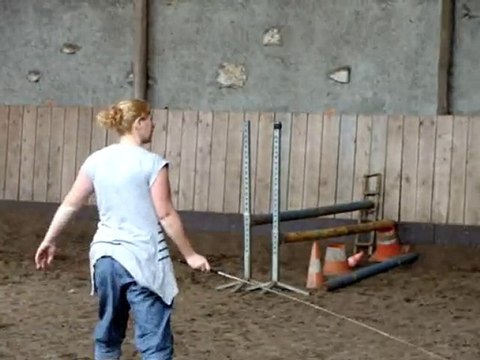 Maïka, longe et obstacle en liberté