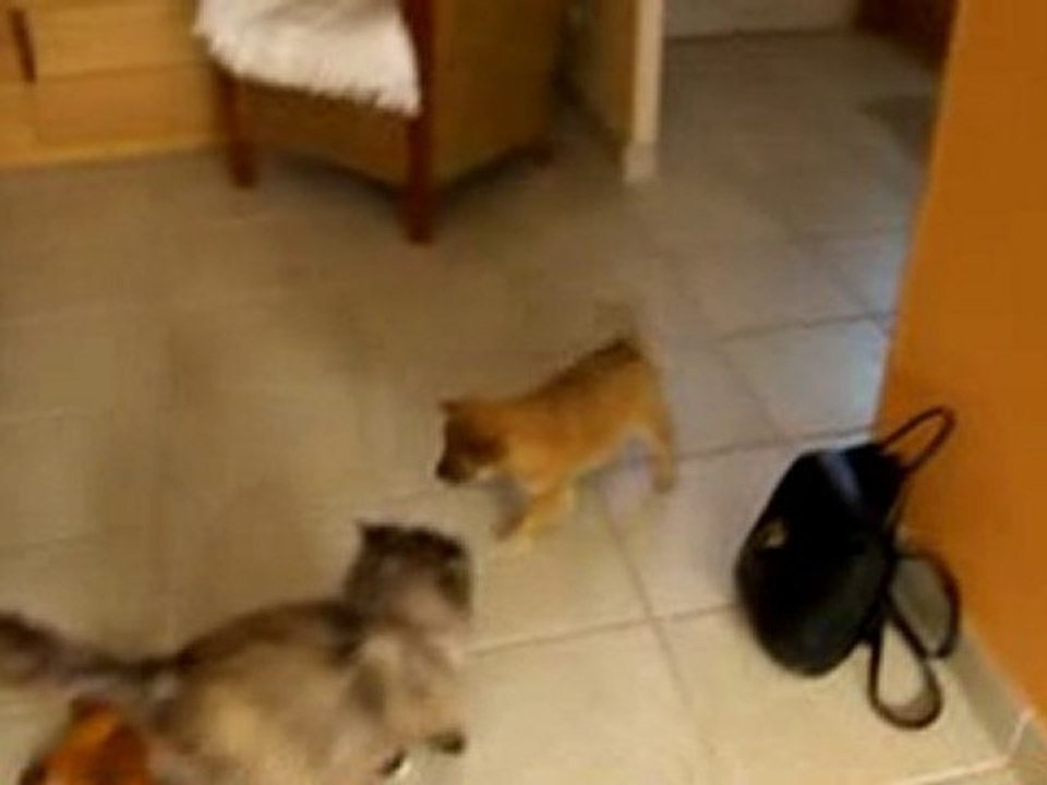 1ière rencontre zoé vs Fisca