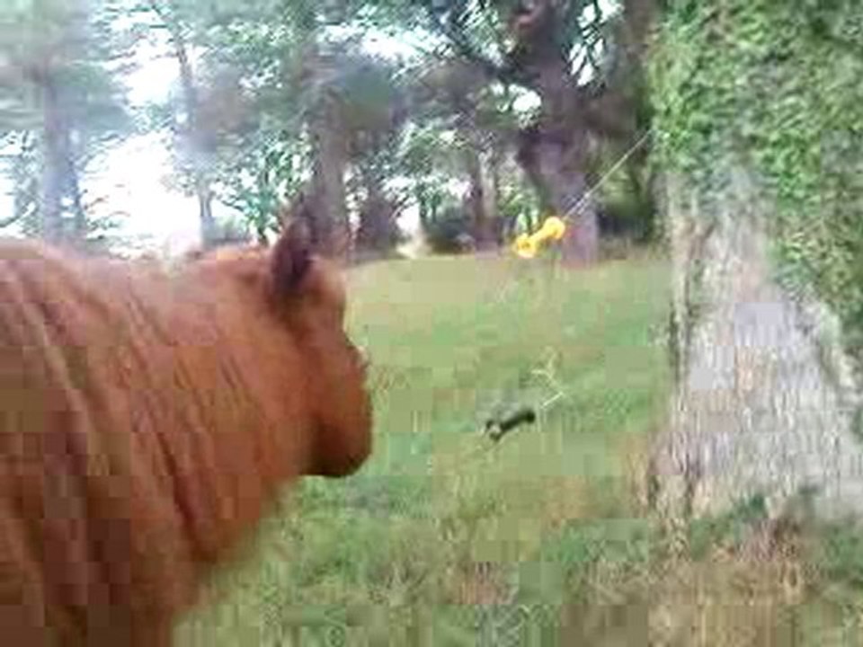 c'est bon les gratouilles xD