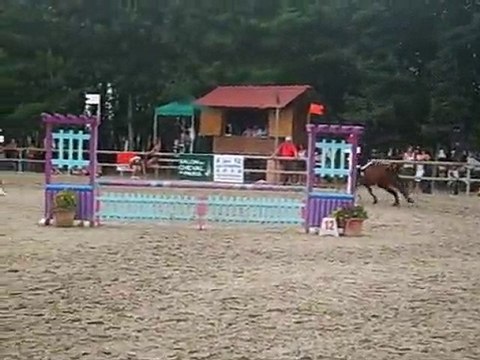 Lamotte Beuvron 2010