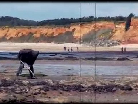 Découverte de Pénestin, commune littorale, sud Bretagne !