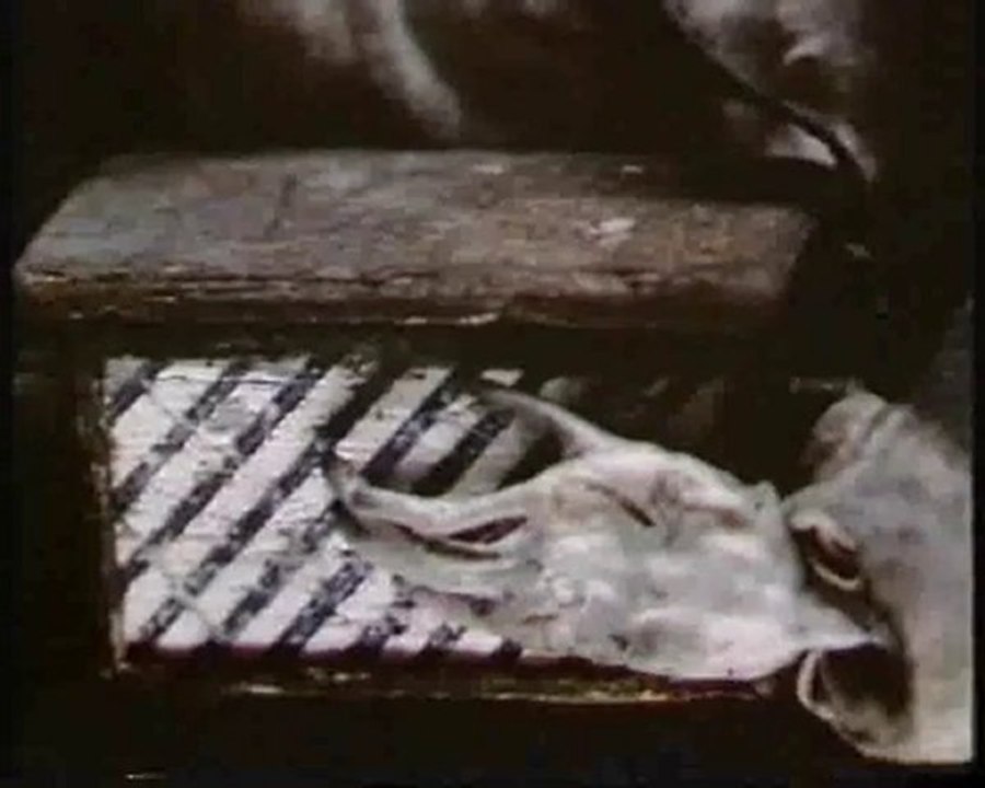 COURTS MÉTRAGES FRÈRES QUAY