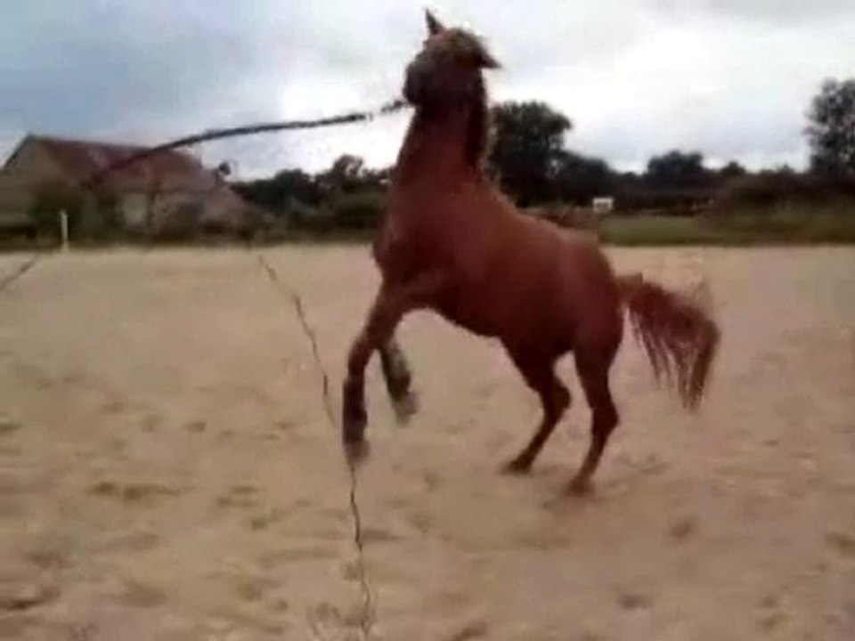 Equi-x-magasine.skay              Le Cabré.